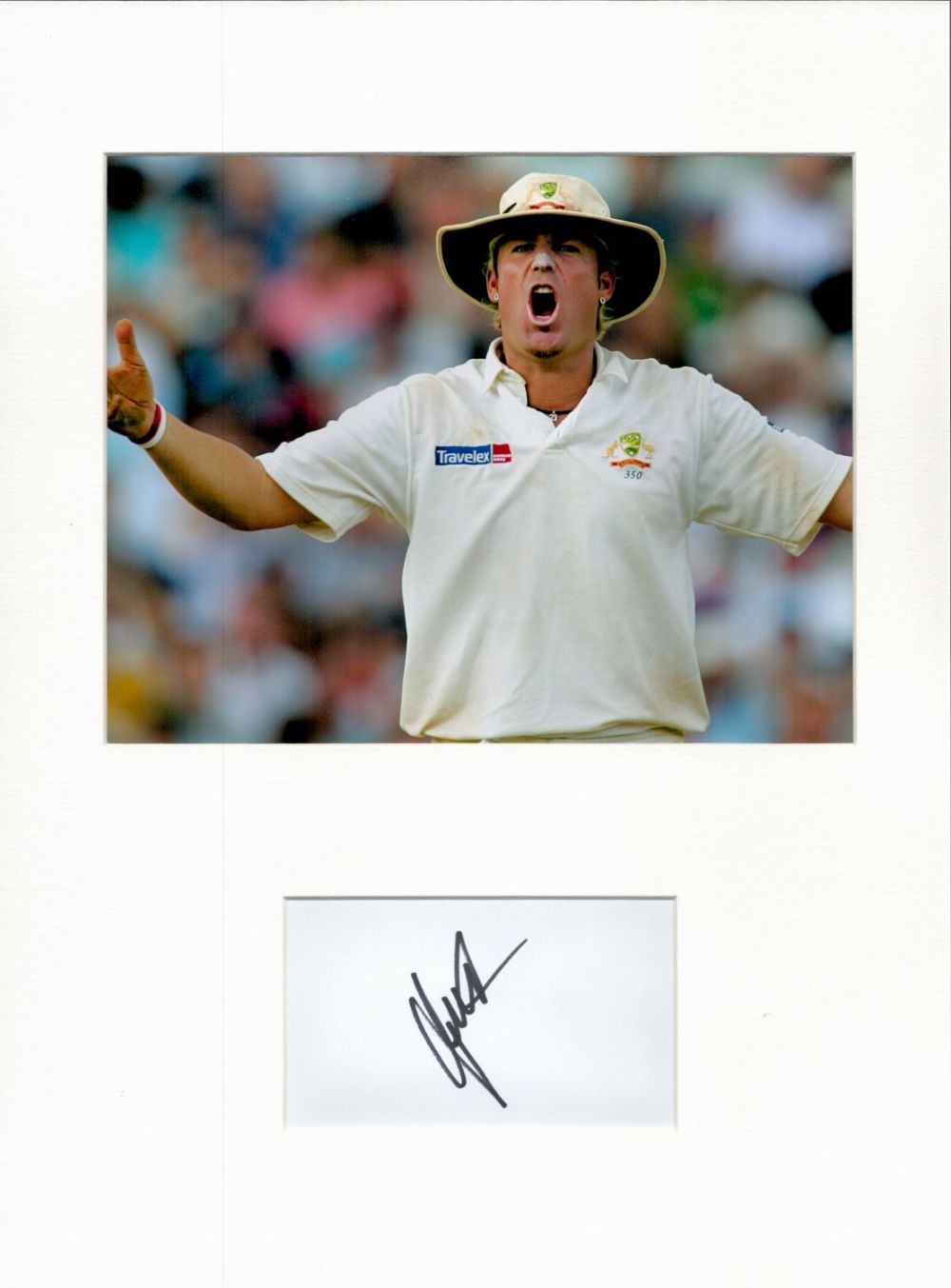 Lot 403: Cricket Shane Warne 16x12 overall mounted signature piece....