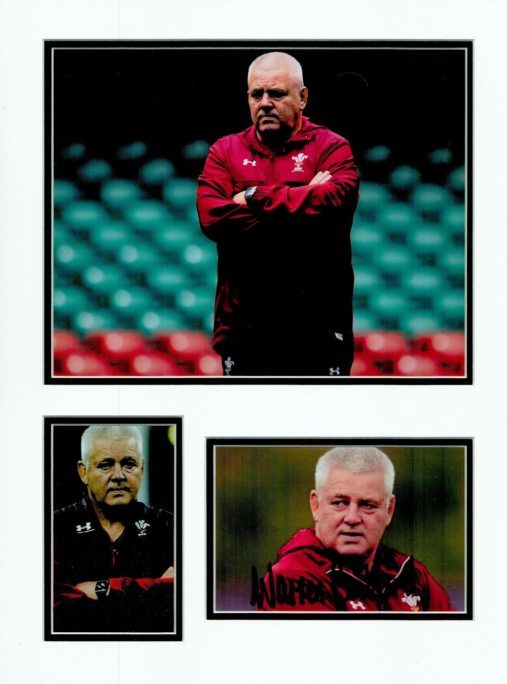 Lot 418: Rugby Union Warren Gatland 16x12 overall Wales mounted...