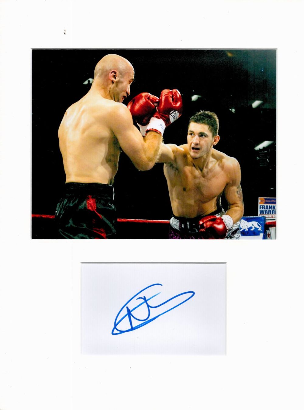 Lot 423: Boxing Nathan Cleverly 16x12 overall mounted signature piece....