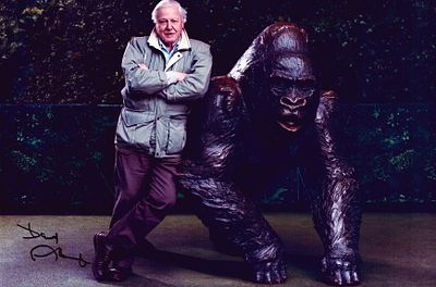 David Attenborough signed 12x8inch colour photo.