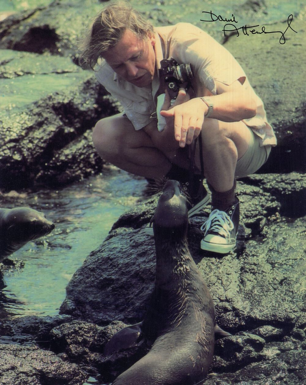 Lot 492: David Attenborough, legendary naturalist and TV documentary maker...