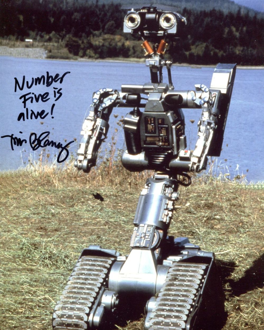 Lot 177: Short Circuit, popular 80's movie 8x10 photo signed...