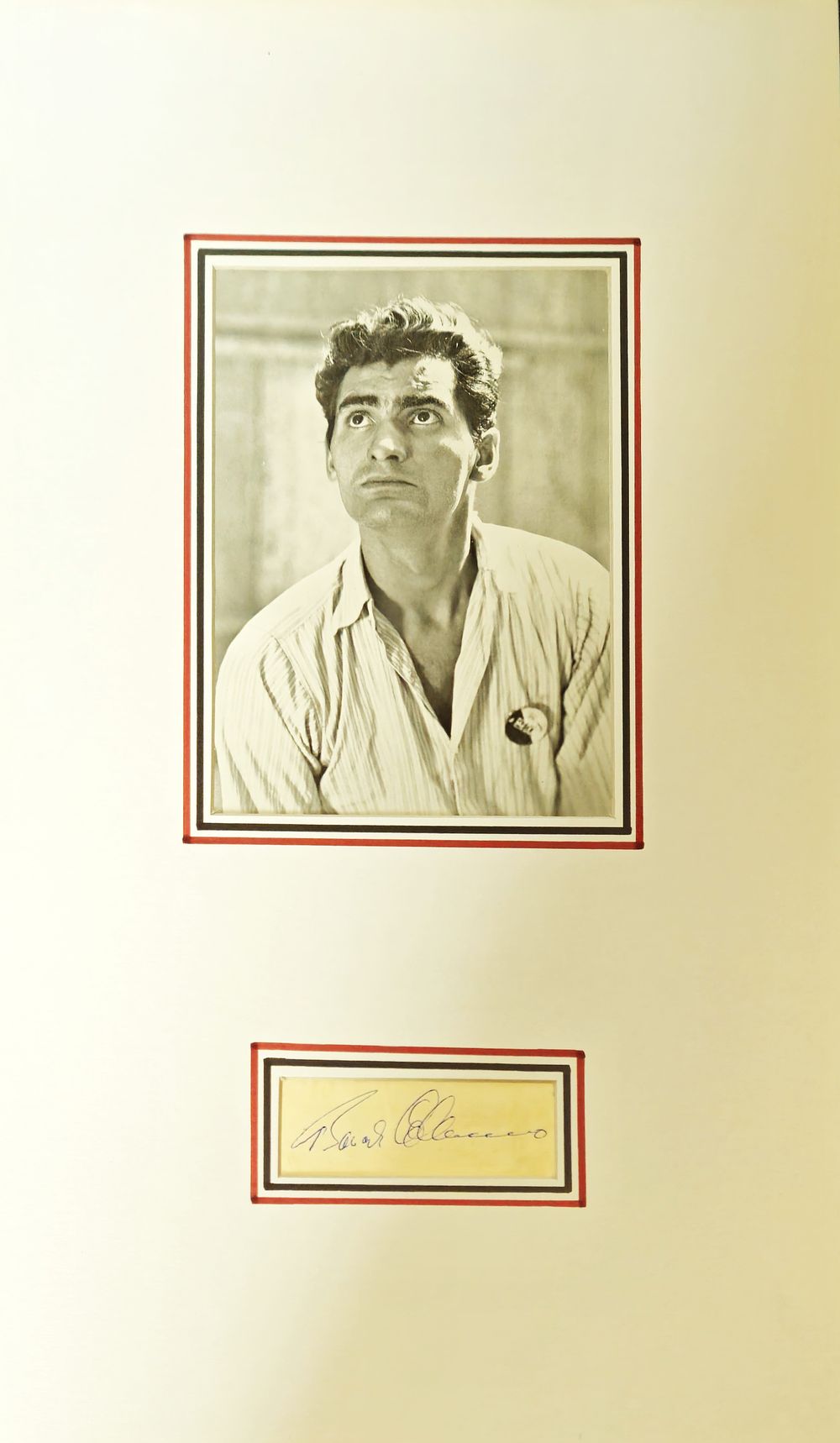 Lot 488: Bonar Colleano signature piece mounted below black and...
