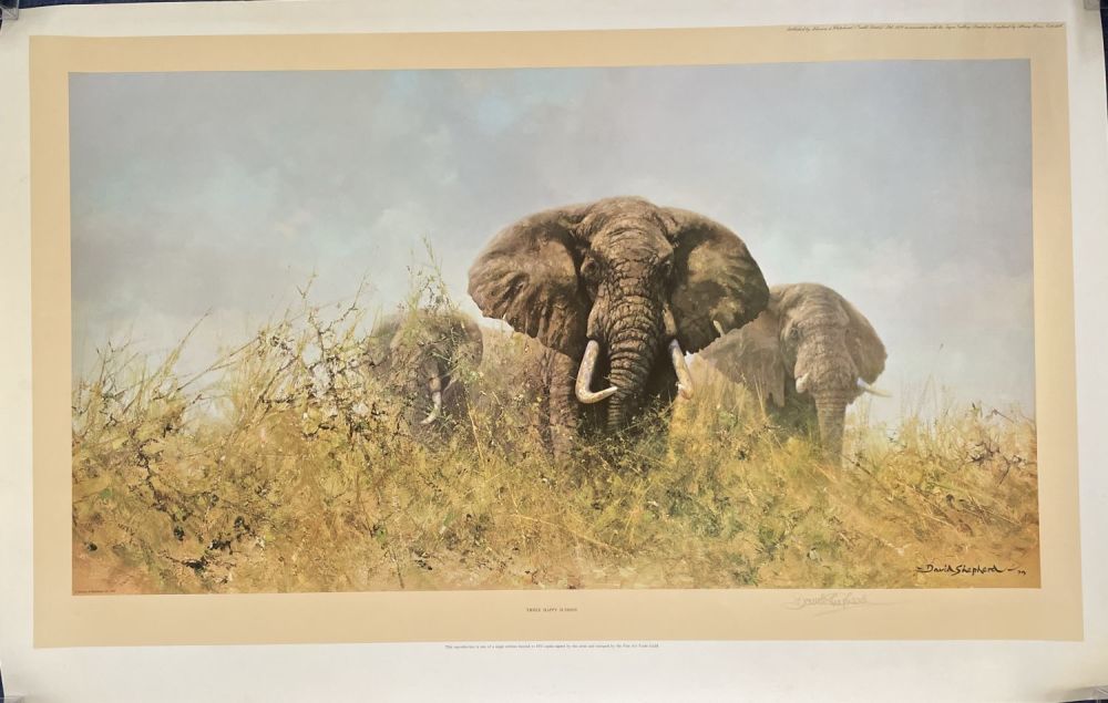 Lot 287: David Shepherd signed 36x24 overall limited edition wildlife...