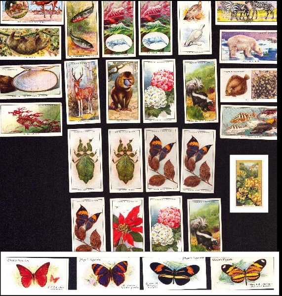 Lot 326: Colour In Nature cigarette cards, includes various animals,...