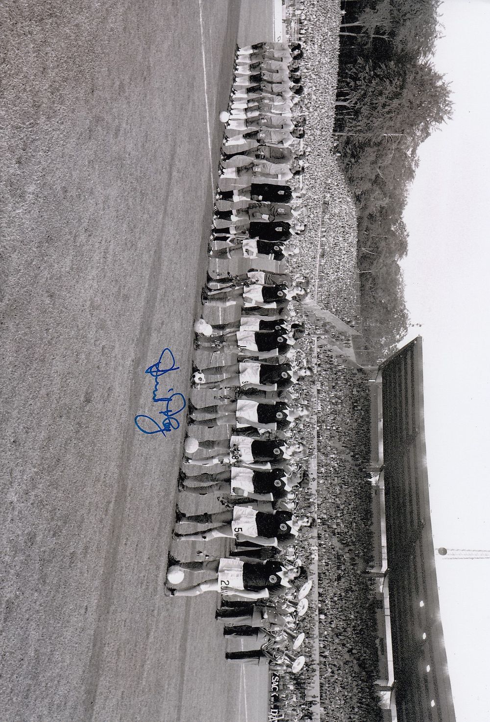 Lot 189: Autographed DAVID HAY 12 x 8 Photograph: Scotland...