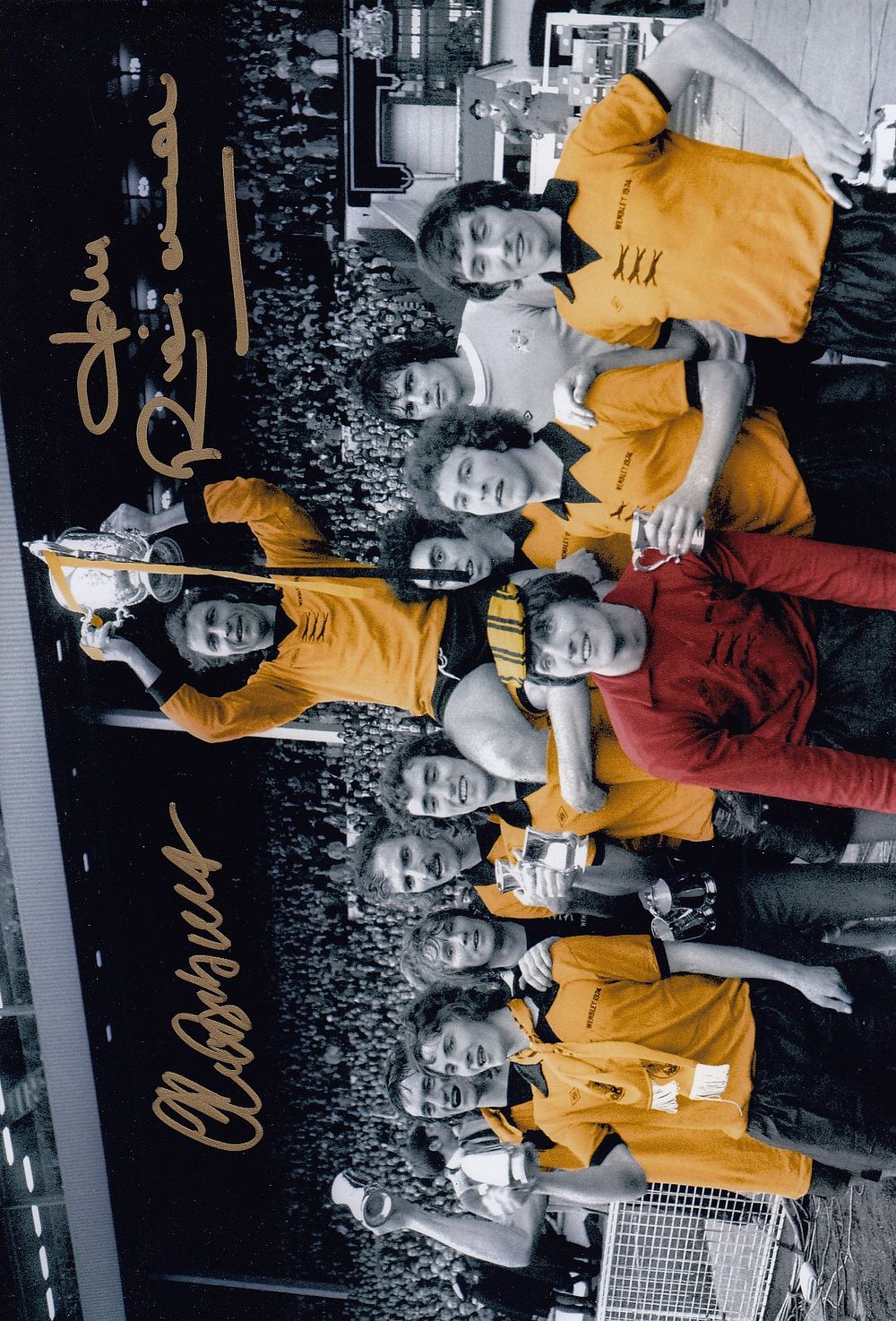 Lot 198: Autographed WOLVES 12 x 8 Photograph: Wolves captain...