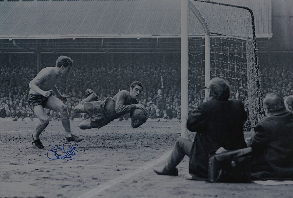Lot 218: Autographed JOE ROYLE 12 x 8 Photograph :...