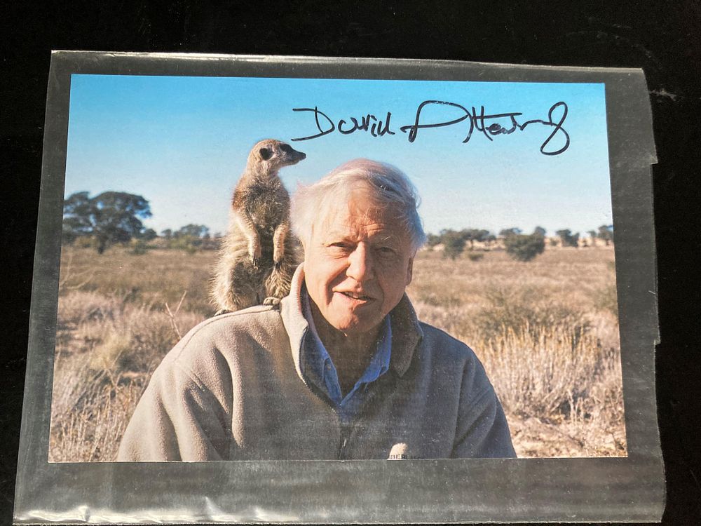 Lot 180: David Attenborough signed 6 x 4 colour photo...