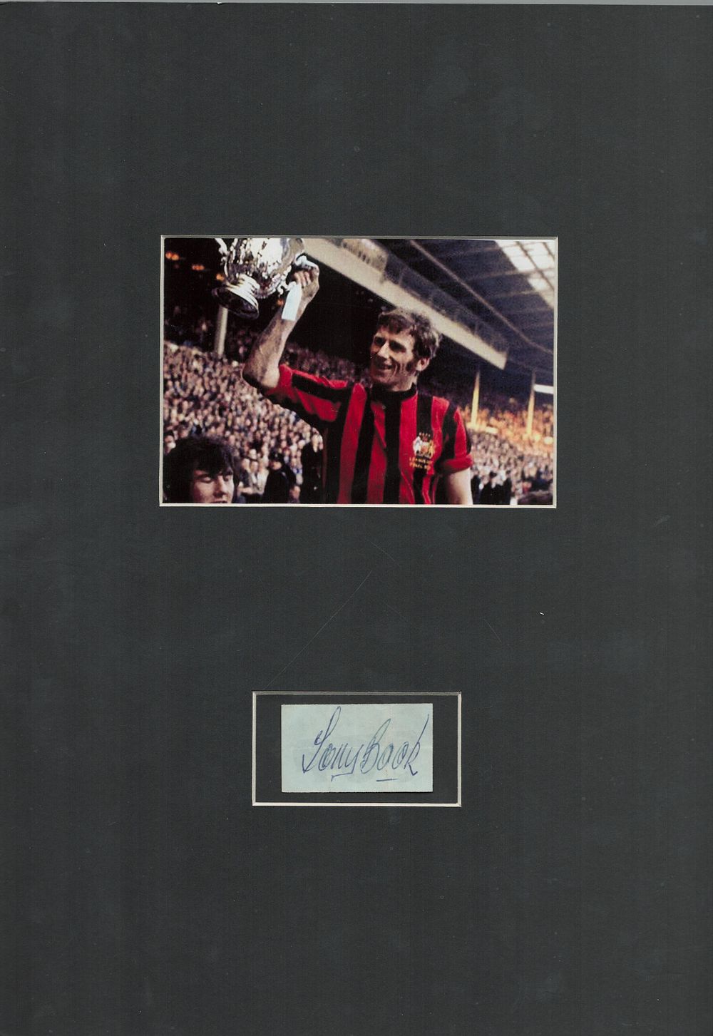Lot 461: Football Tony Book 13x10inch mounted signature piece display...