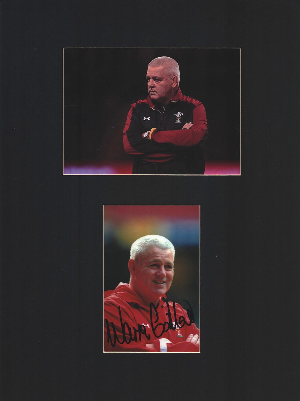 Lot 471: Rugby Union Warren Gatland 16x12inch mounted signature piece...