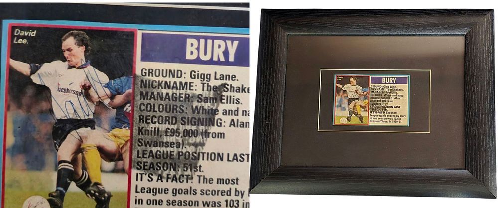 Lot 263: David Lee signed newspaper bio clipping mounted and...