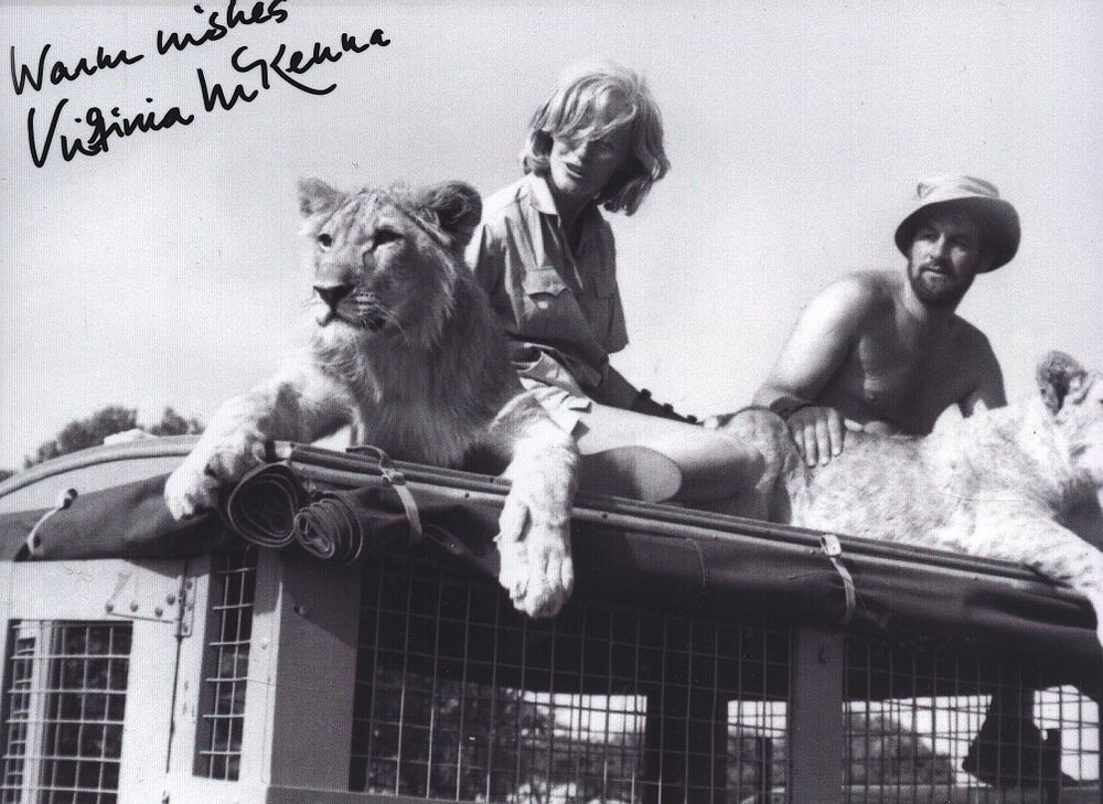 Lot 443: Virginia Mckenna signed 7x5inch black and white photo.