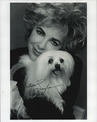 Elizabeth Taylor printed signature on 10x8inch black and white photo.