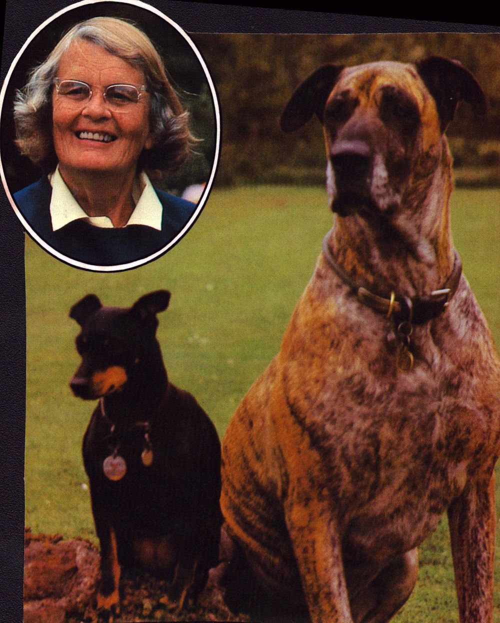 Lot 243: Signed 4x6inch coloured photograph of Barbara Woodhouse.