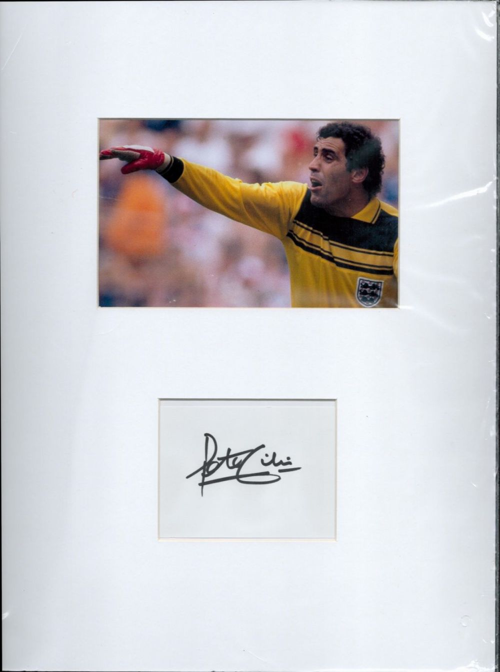 Lot 279: Football Peter Shilton 16x12 overall mounted signature piece...