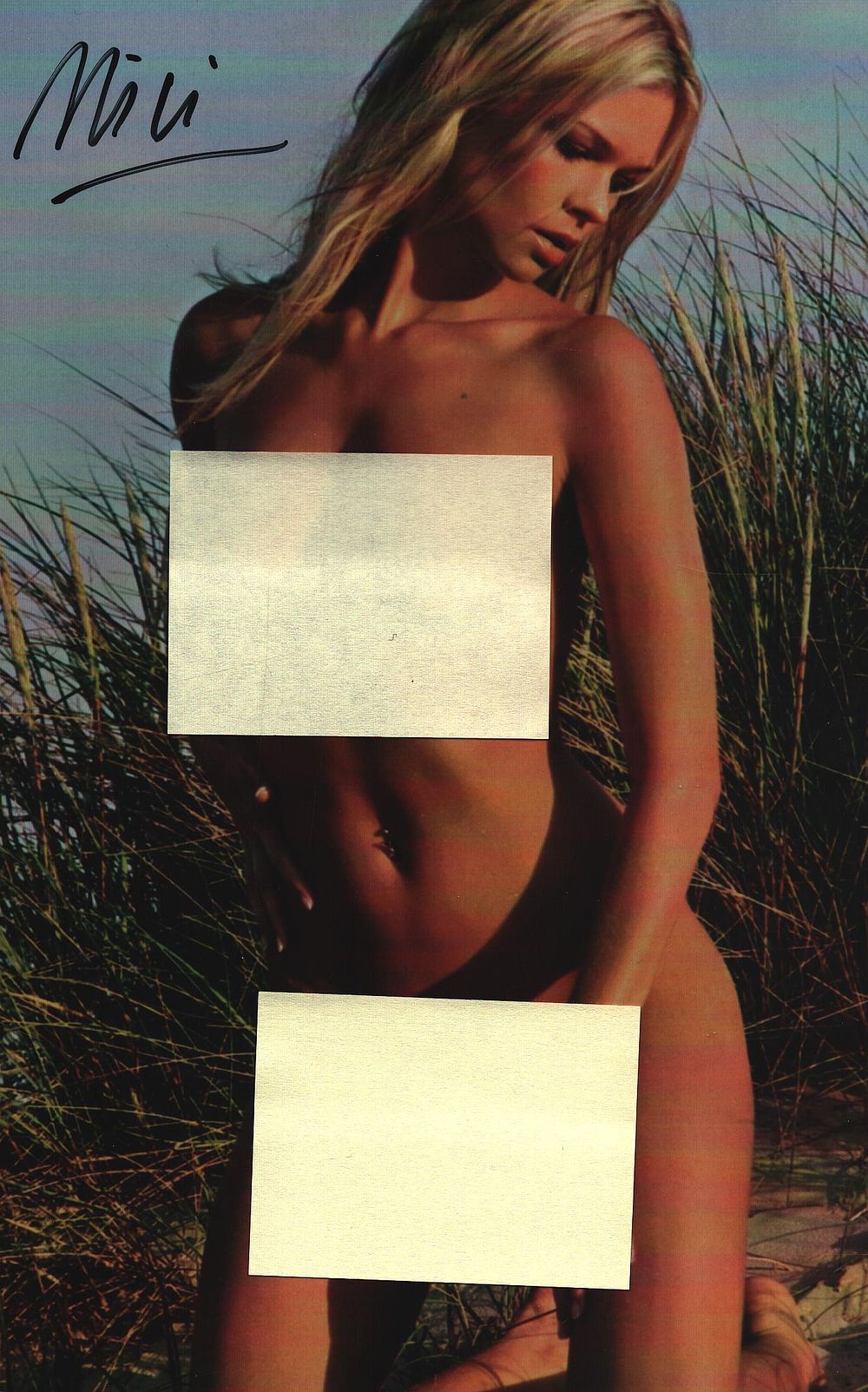 Lot 383: Nicole Maria Niemann signed 7x5inch colour risque photo.