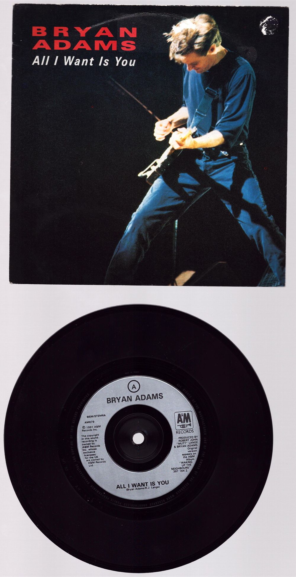 Lot 440: Bryan Adams double sided vinyl LP with All...