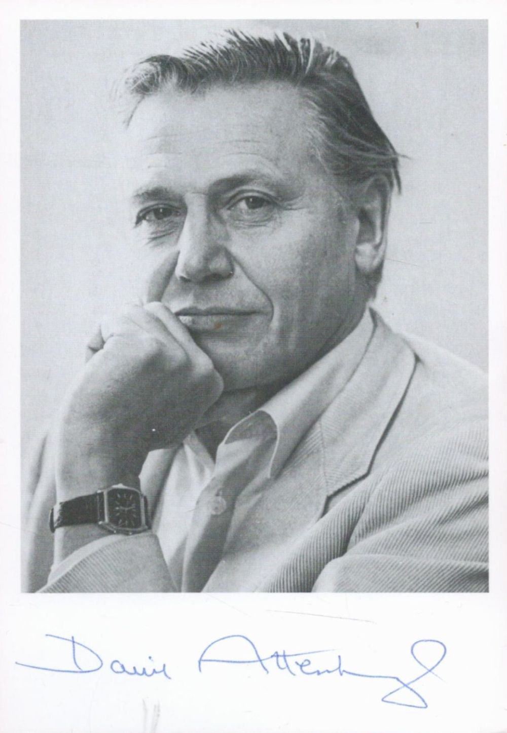Lot 354: David Attenborough signed 6x4 black and white photo....
