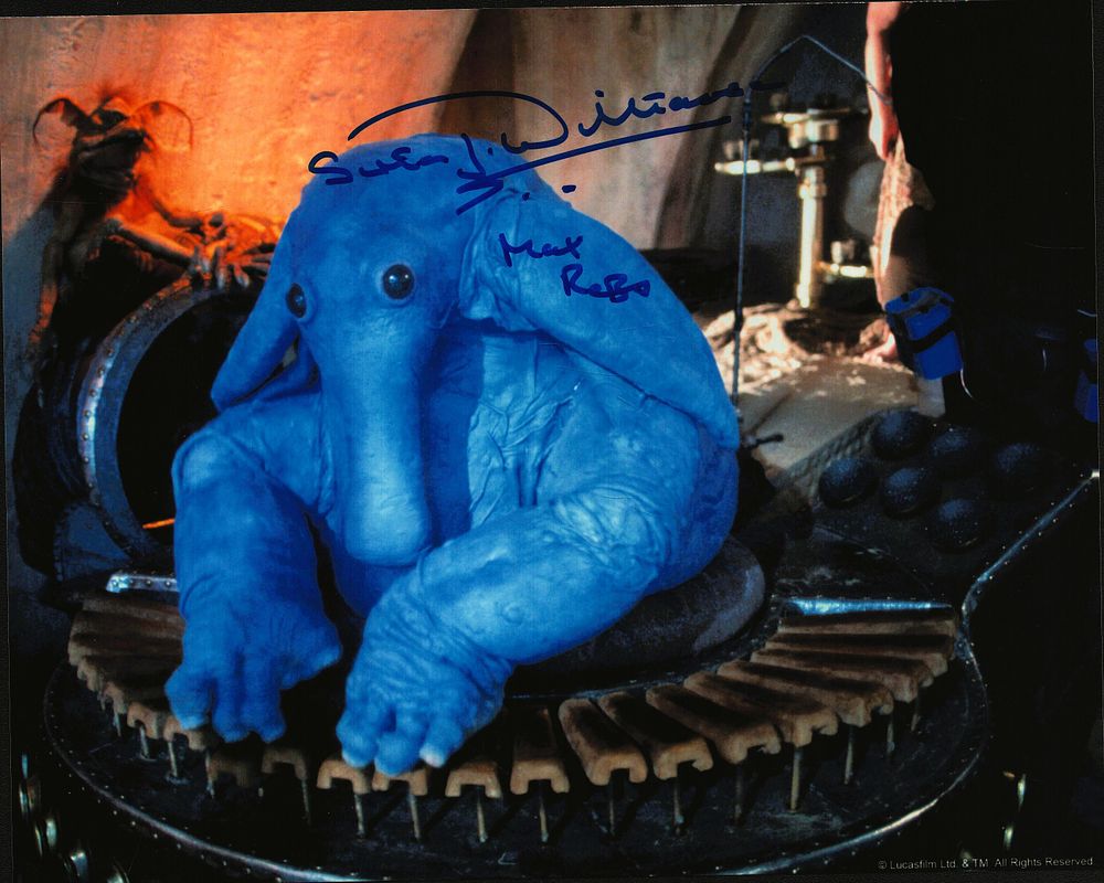 Sue J Williams signed 10x8inch colour photo.