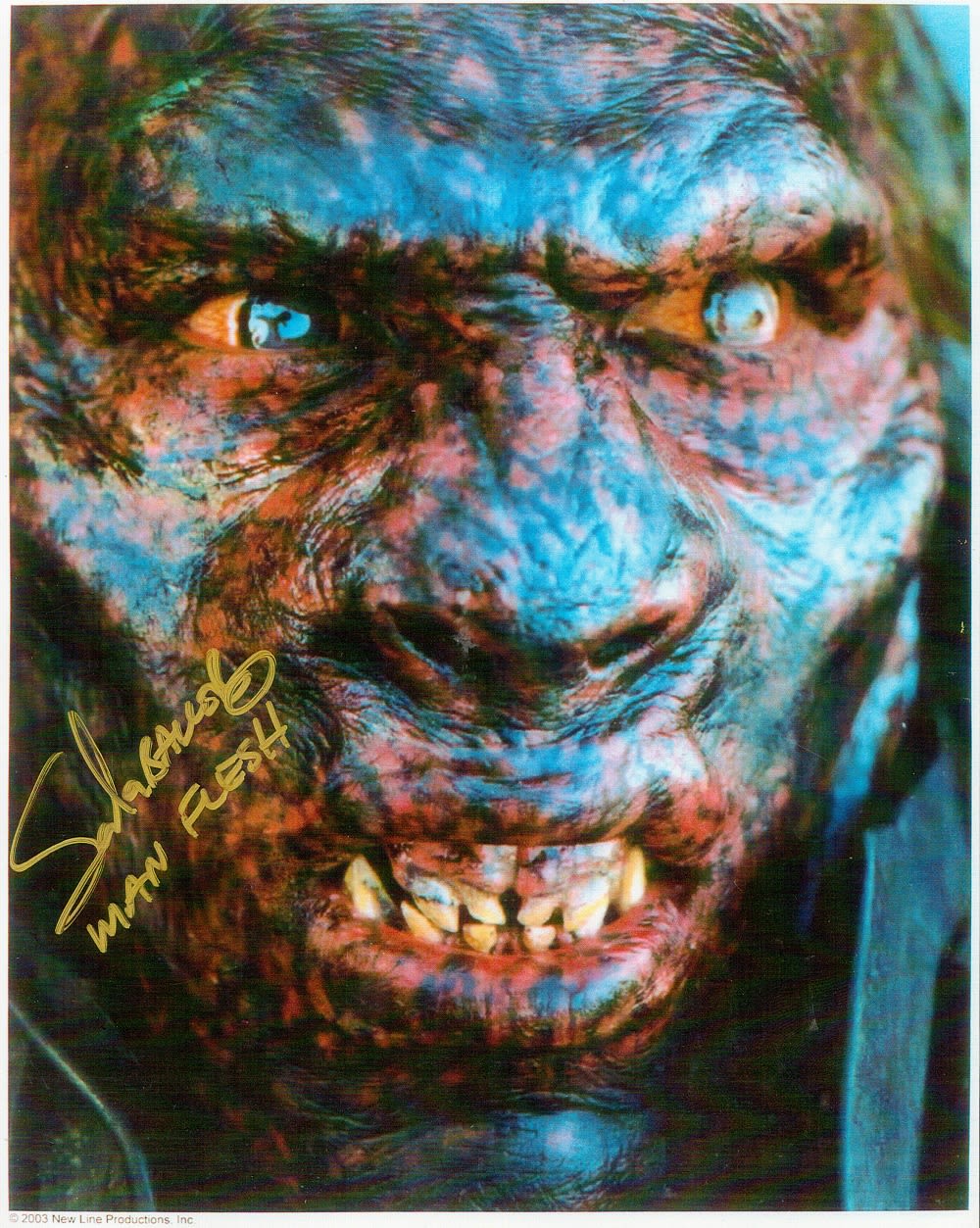 Lot 491: Sala Baker. Lord of the Rings actor signed...