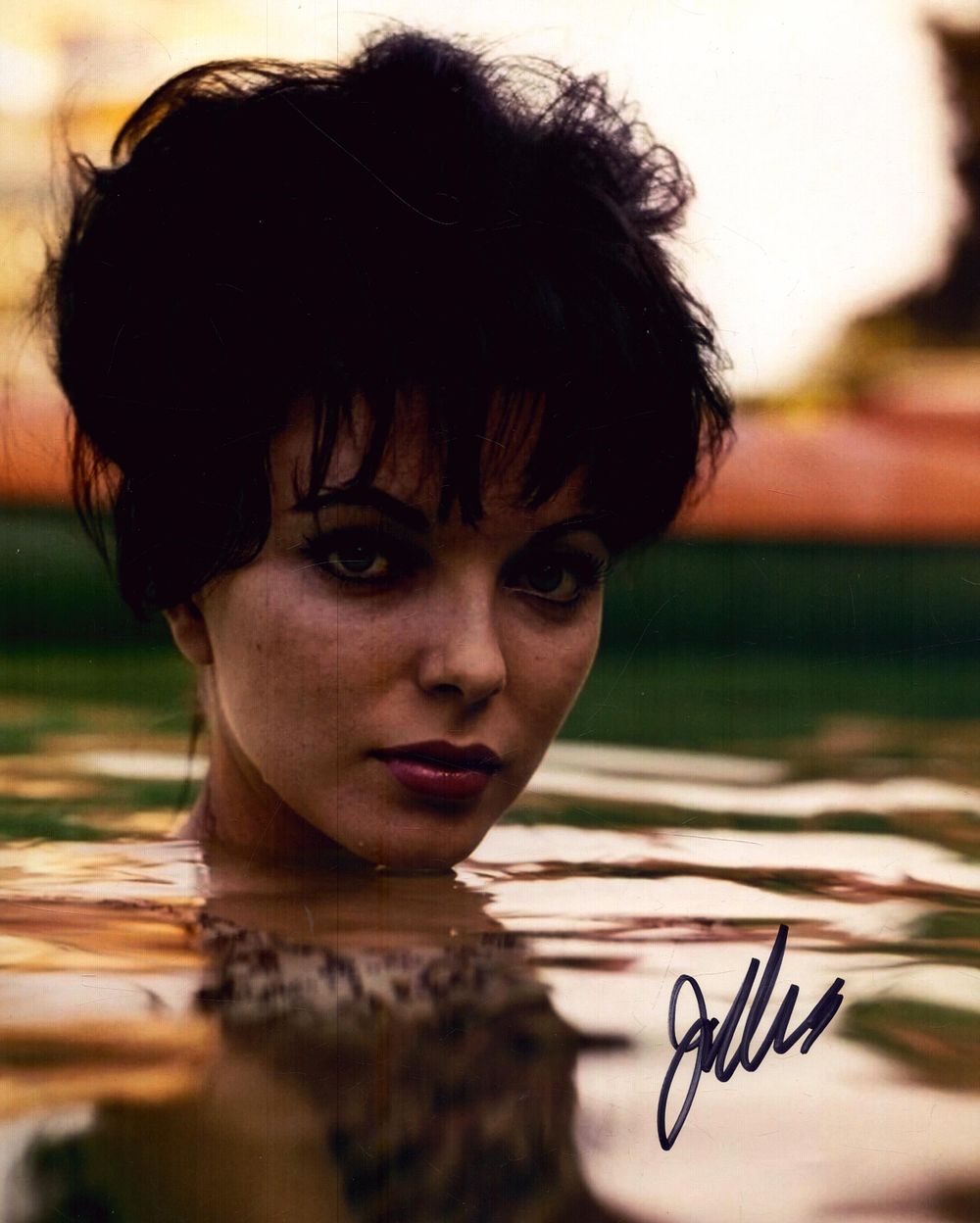 Lot 242: Joan Collins signed 10X8 colour photo.
