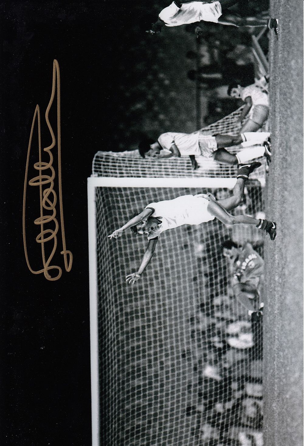 Lot 302: Autographed MARK HATELEY 12 x 8 Photograph :...