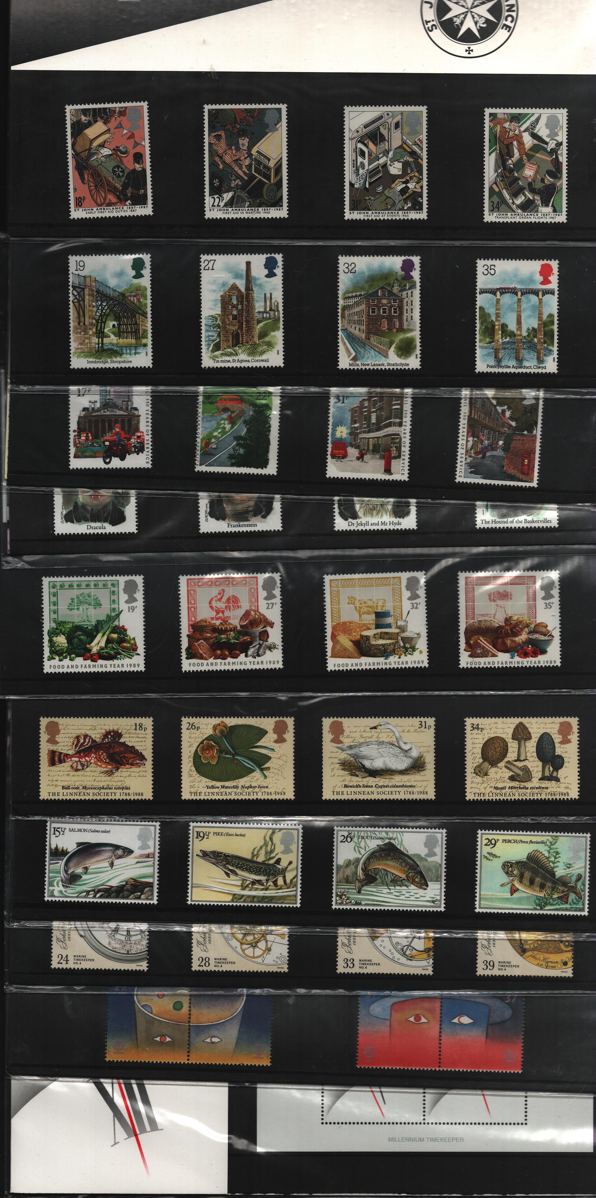 Lot 24