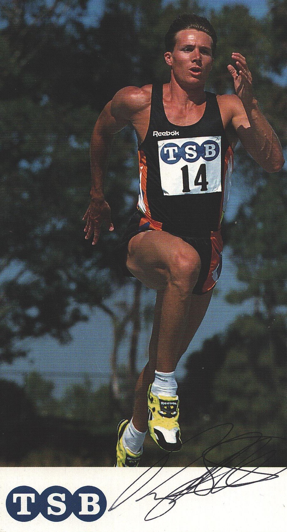 Lot 491