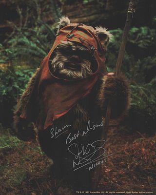 Warwick Davis signed 10x8inch colour photo dedicated.
