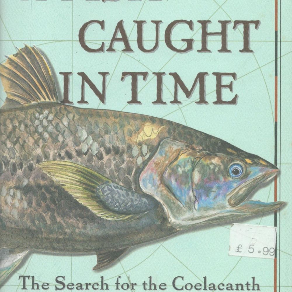 Lot 205: A Fish Caught in Time The Search for...