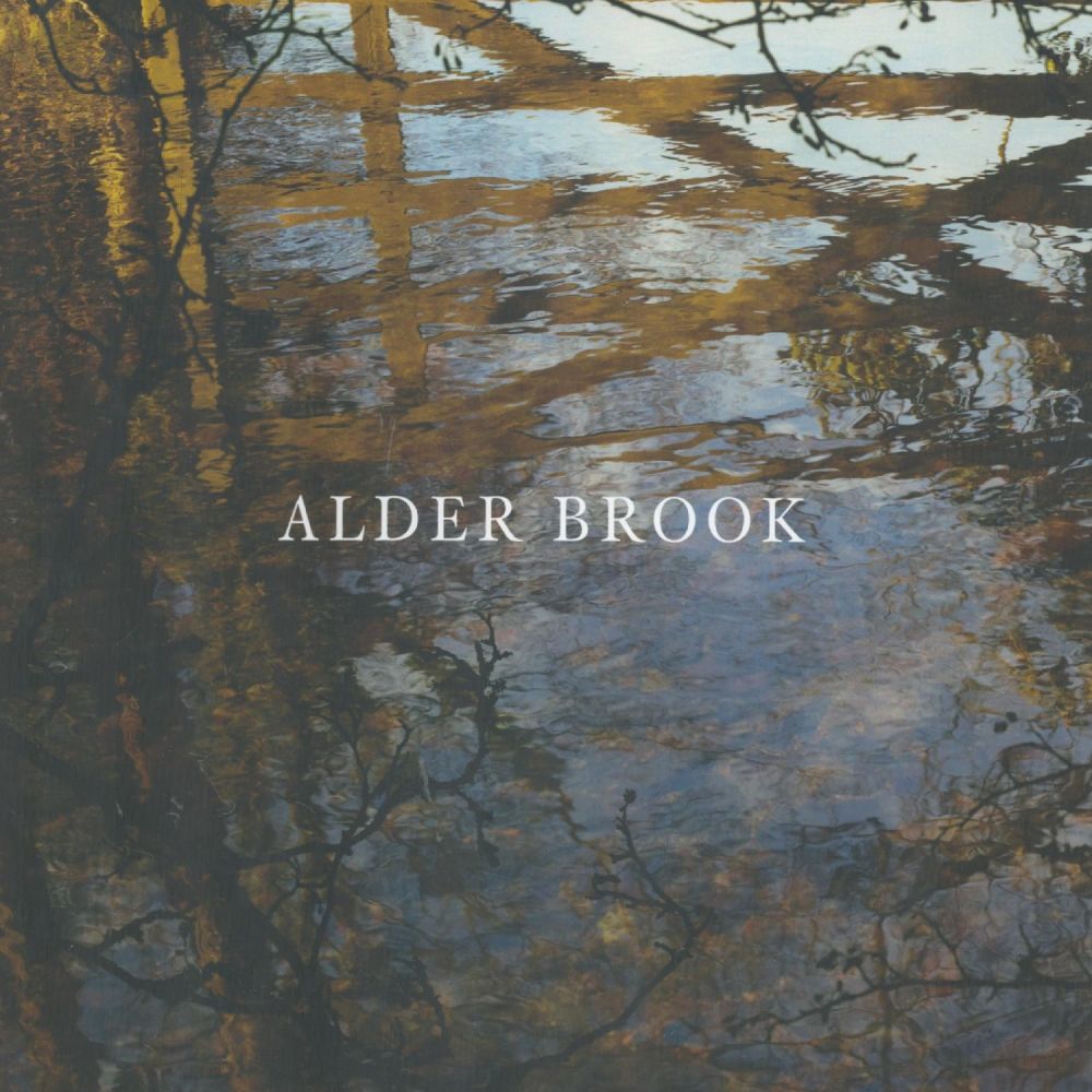 Lot 232: Alder Brook by Susan Derges and Thomas A...