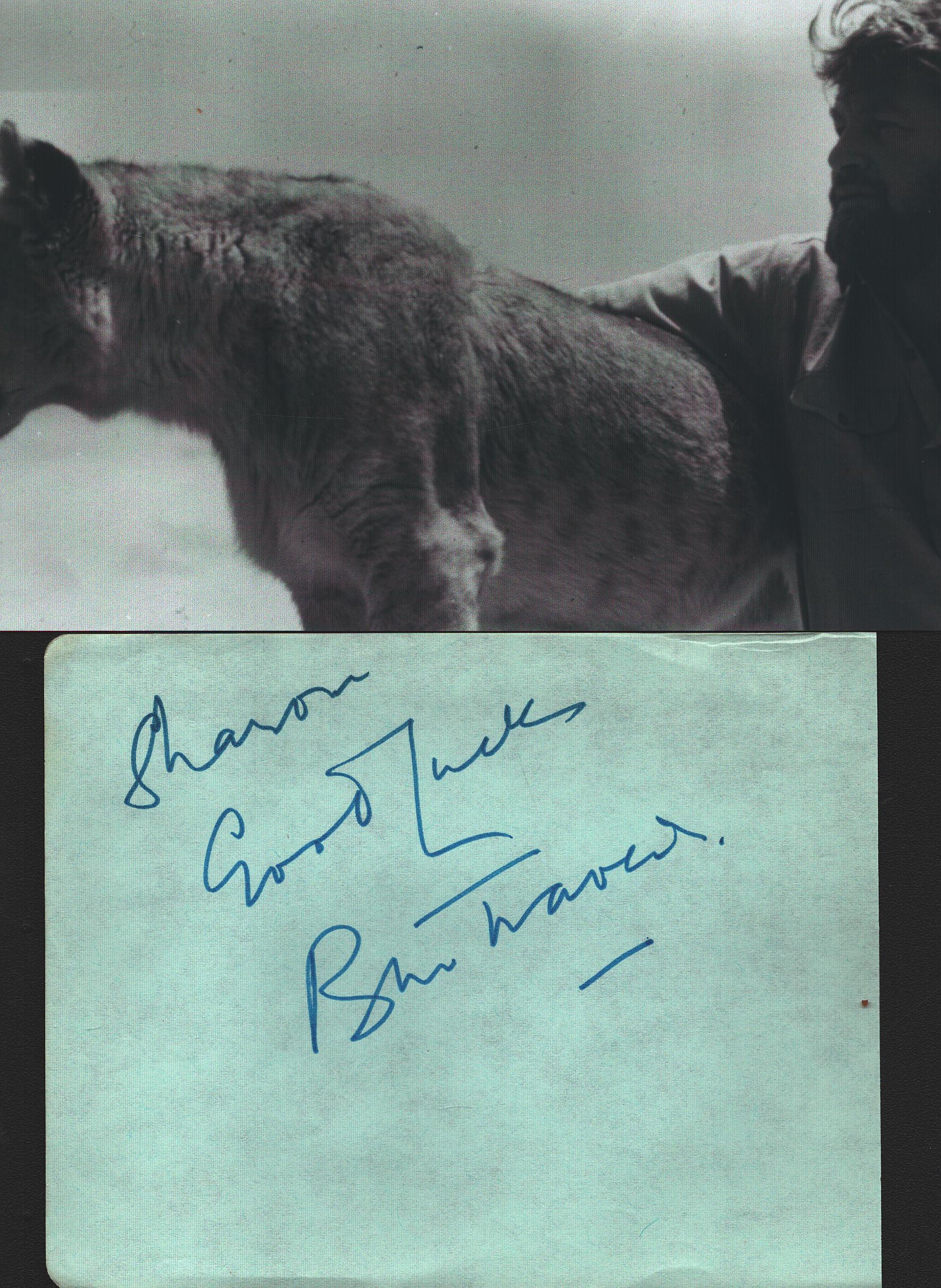 Lot 216