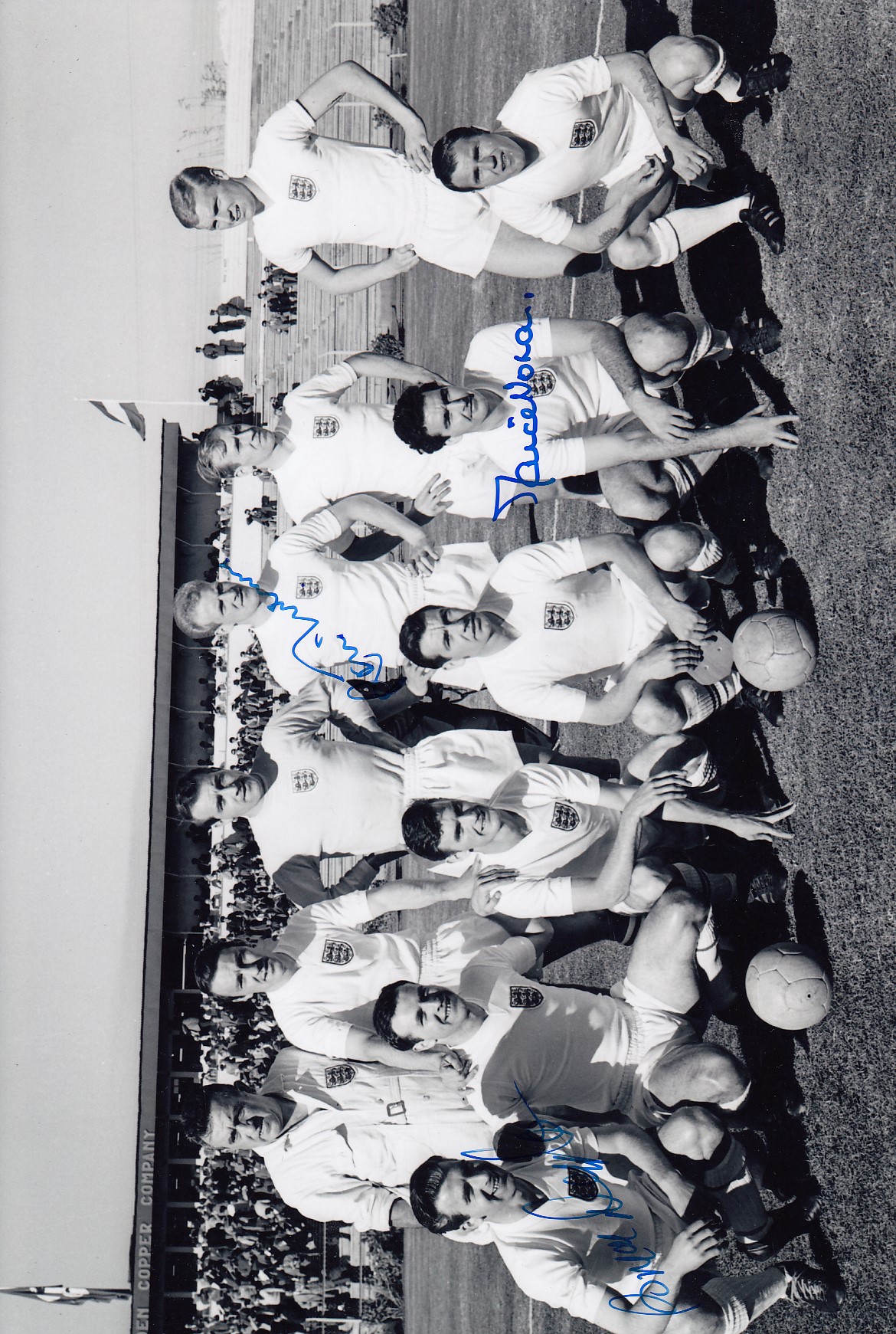 Lot 330