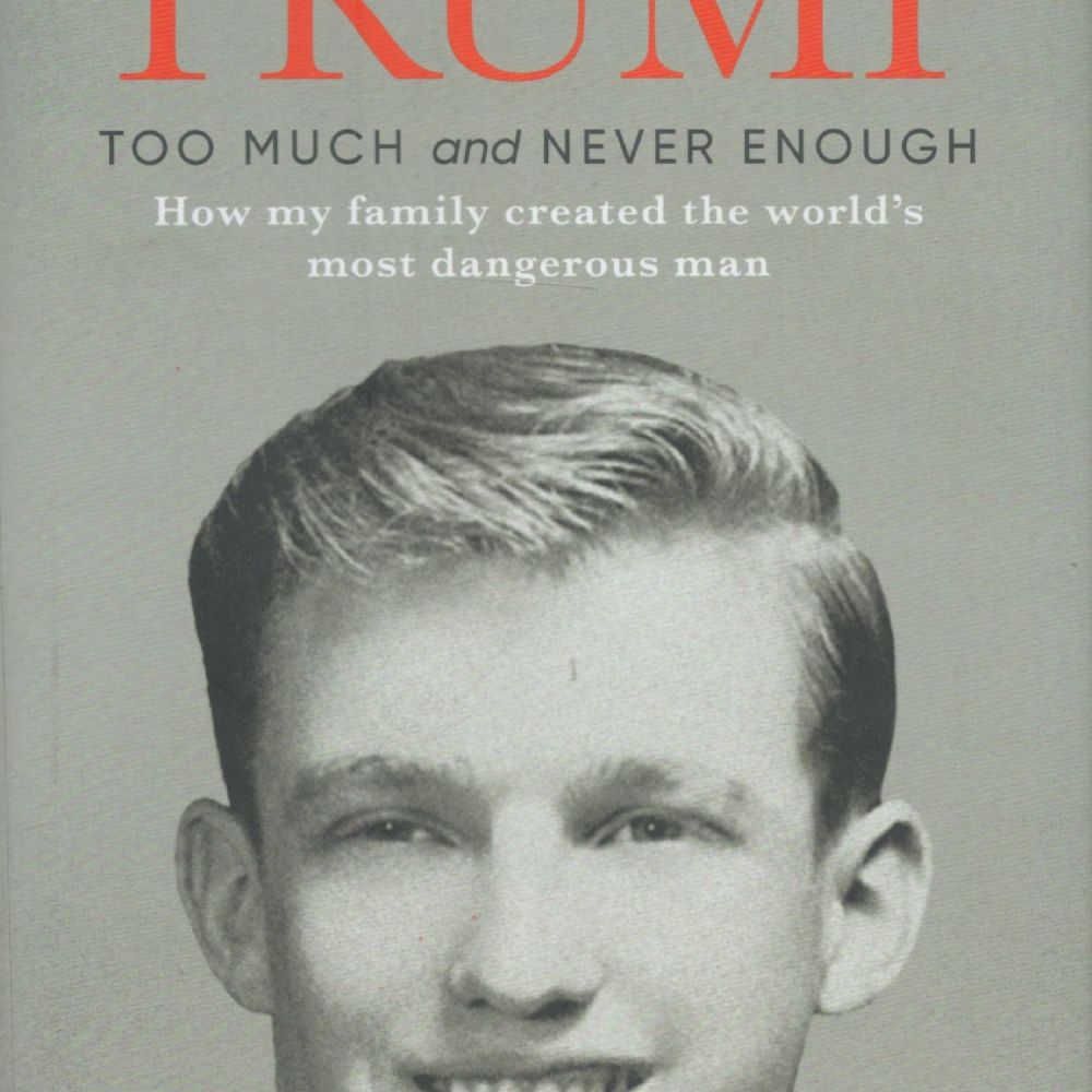 Lot 335: Too Much and Never Enough How My Family...