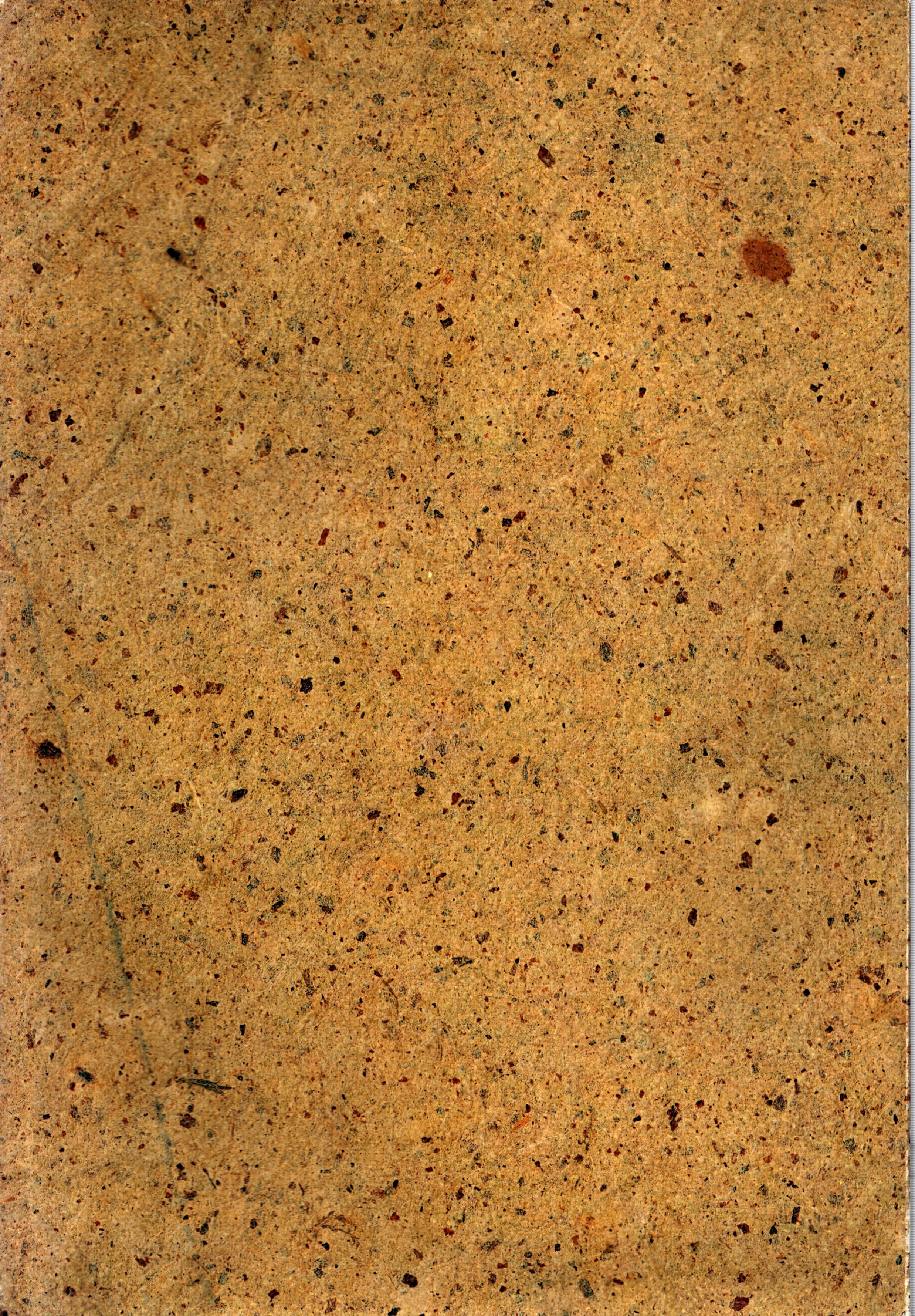 Lot 124