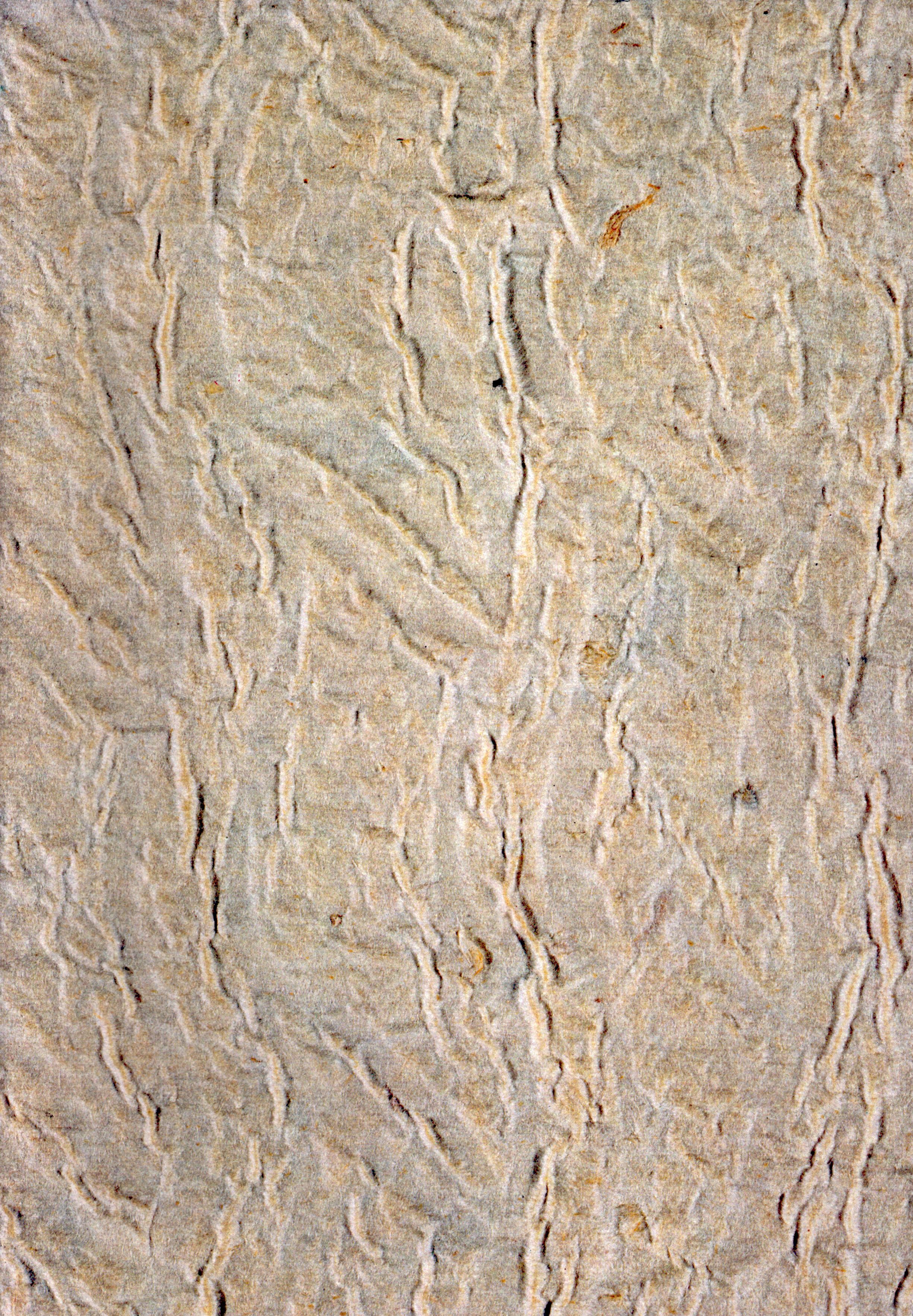 Lot 125
