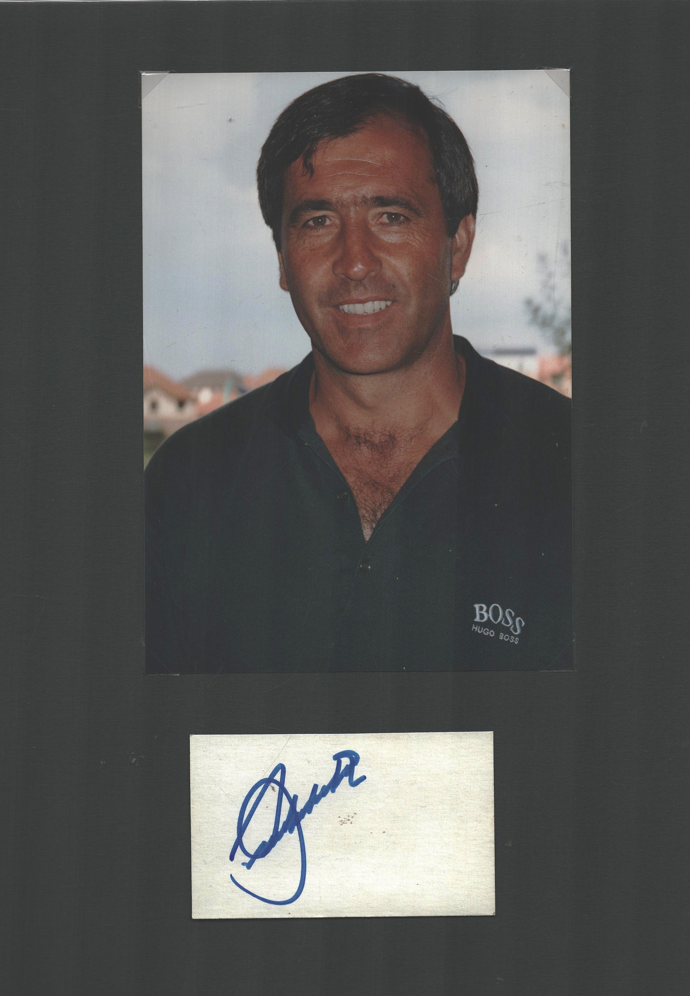 Lot 481