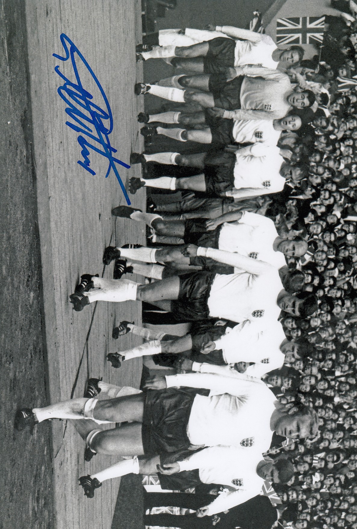Lot 255