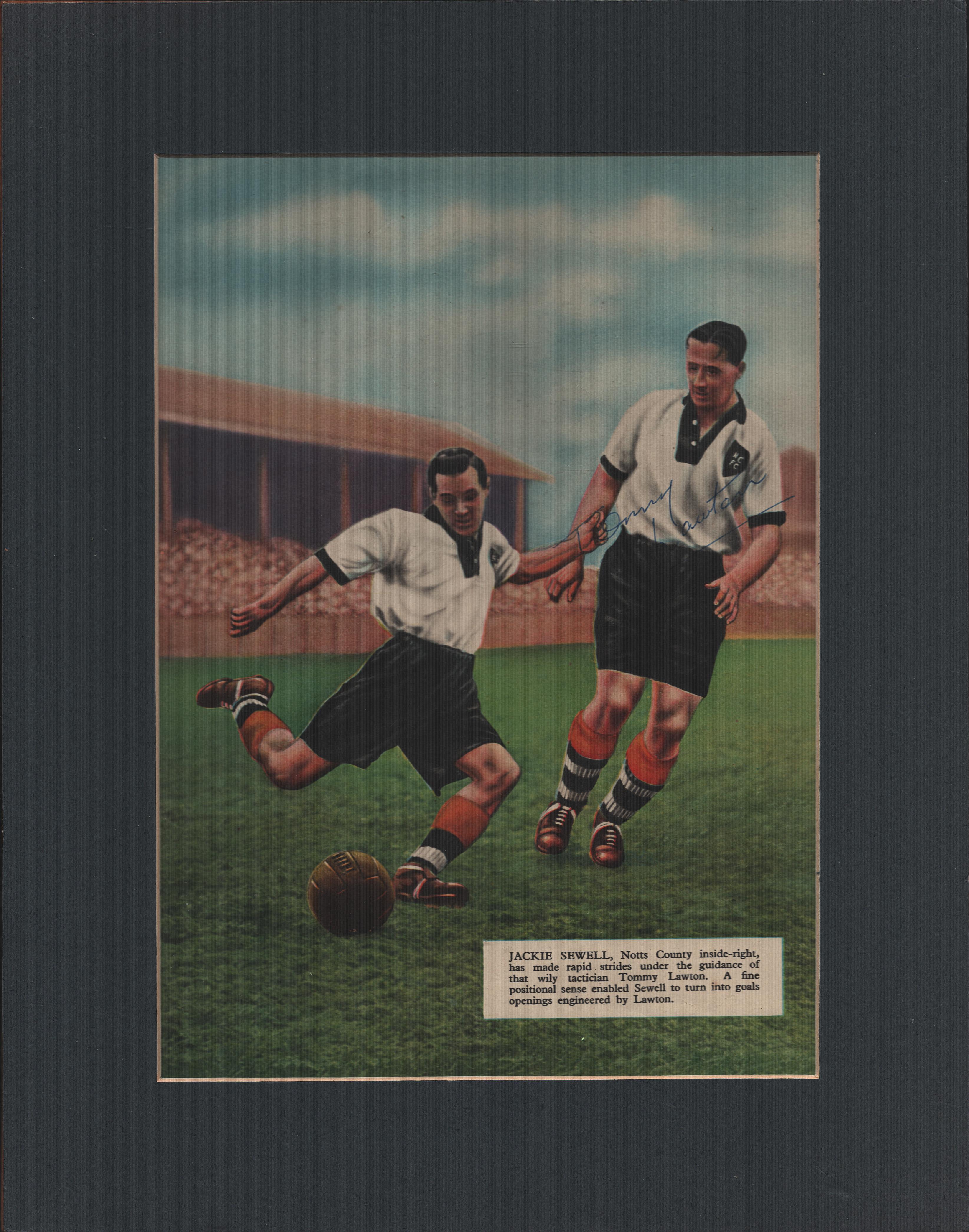 Lot 79