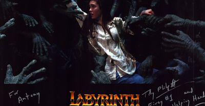 Toby Philpott signed Labyrinth 12x8inch colour photo.