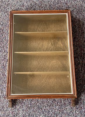 Wall mounted trinket display cabinet. 16x22.