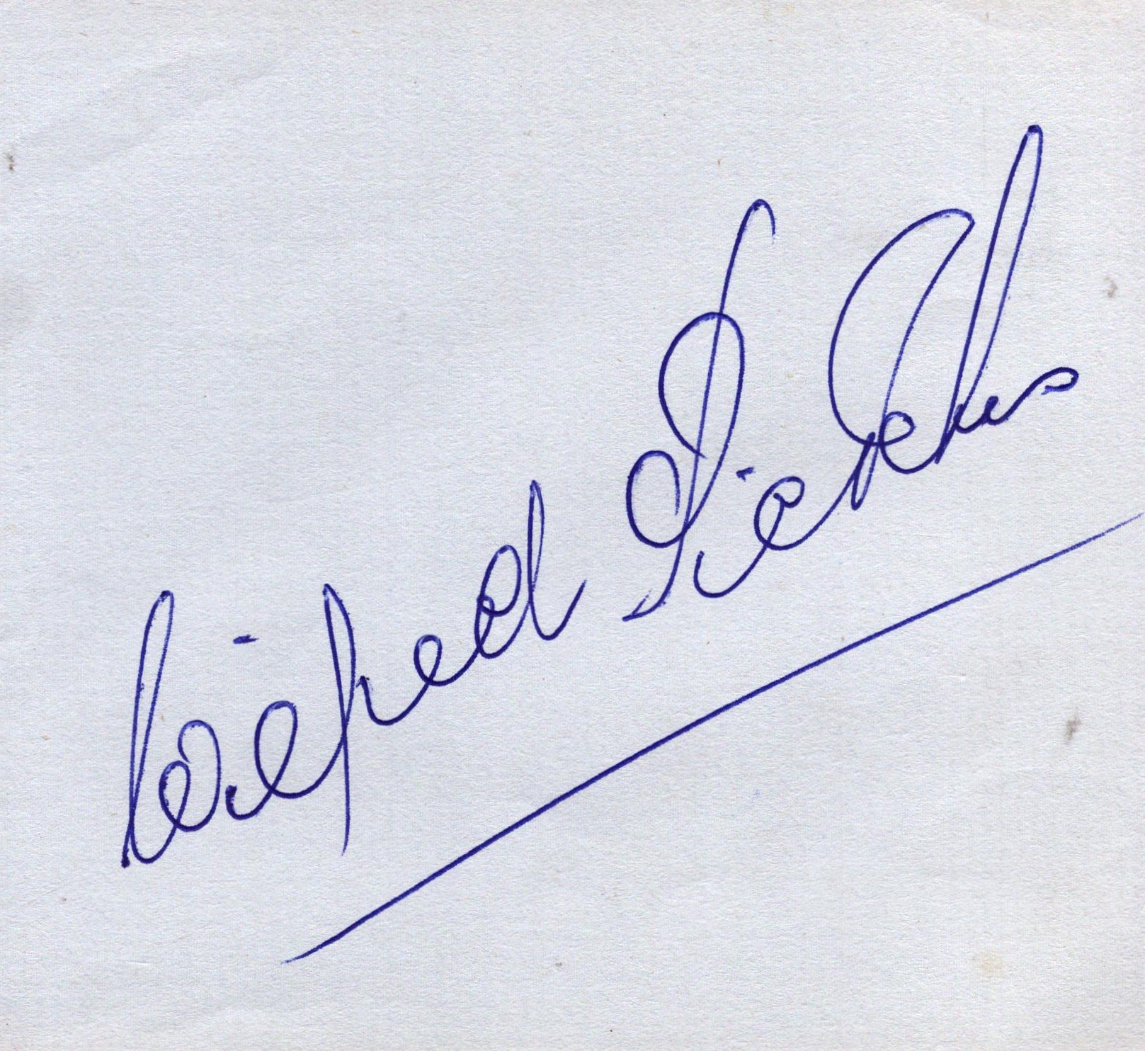 Lot 75