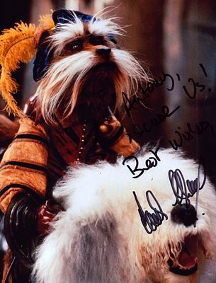 David Shaughnessy signed Labyrinth 10x8inch colour photo.