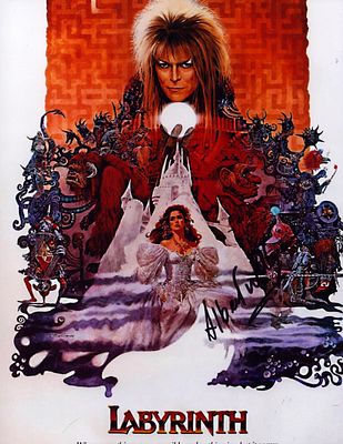Albert Wilkinson signed Labyrinth 10x8inch colour photo.