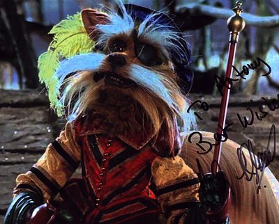 David Shaughnessy signed Labyrinth 10x8inch colour photo.