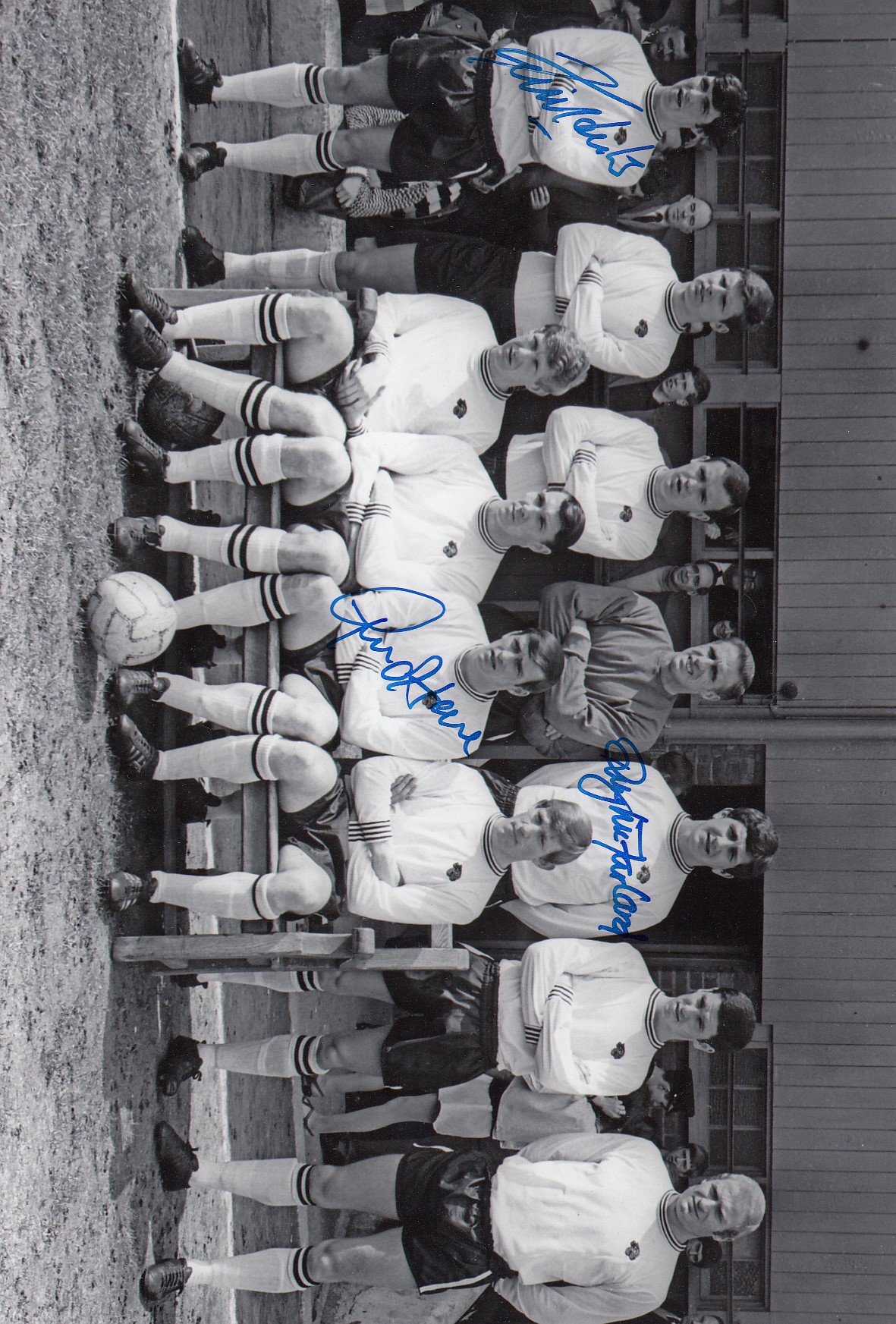 Lot 185