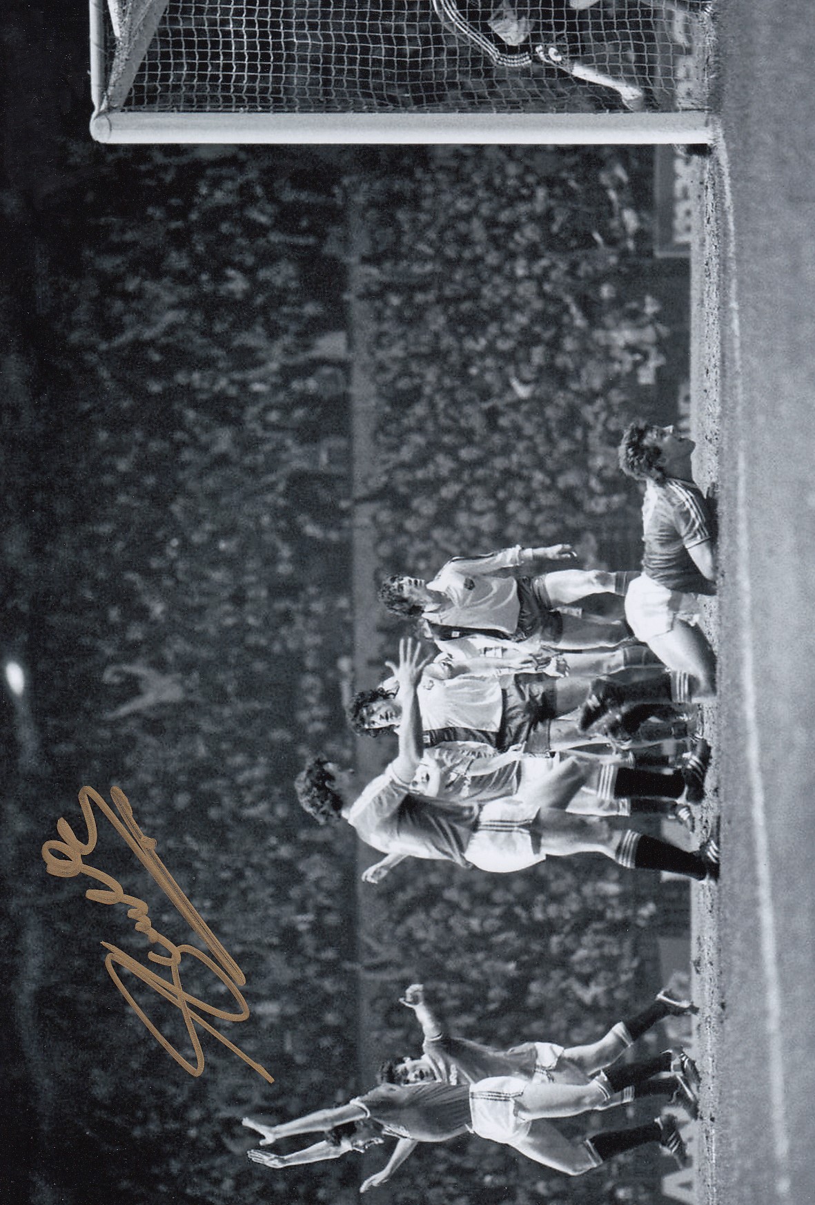 Lot 195