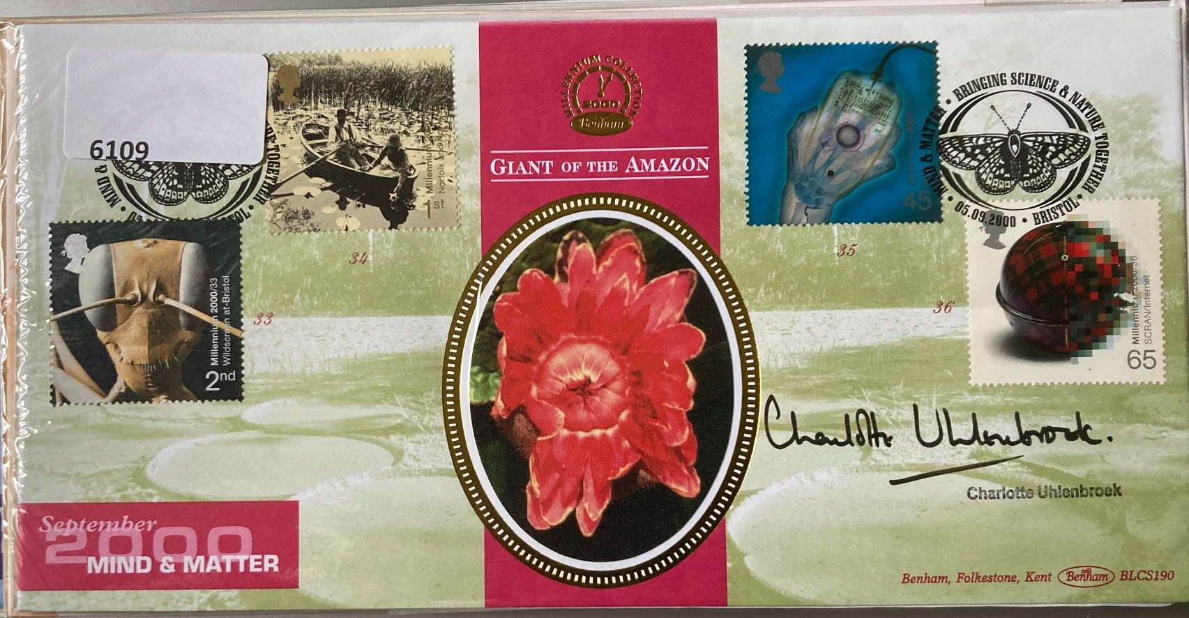 Lot 21