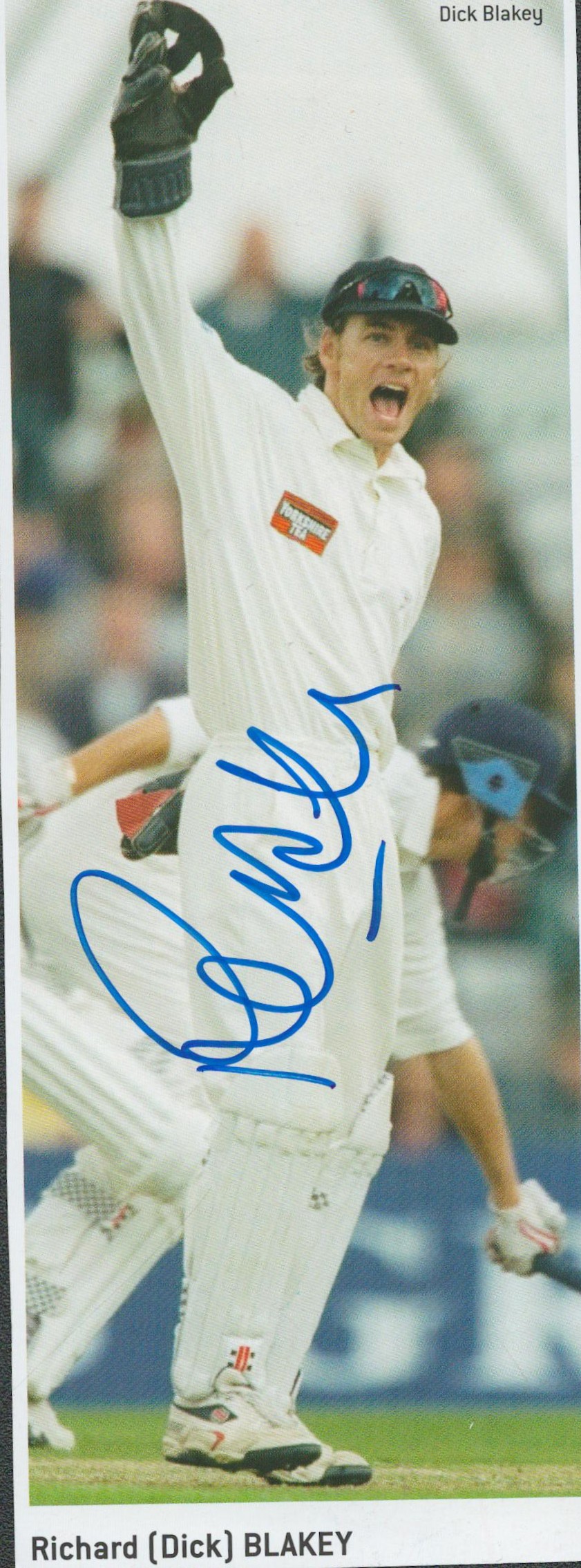Lot 284